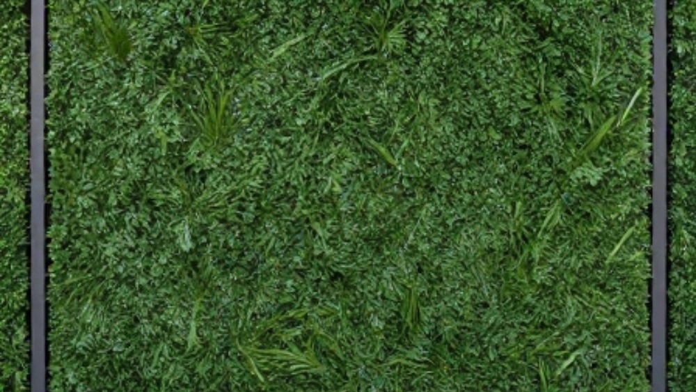 Buying an artificial hedge in Sabzevar, professional installation and execution Buying an artificial hedge in Sabzevar, professional installation and execution